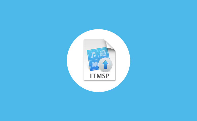 ITMSPファイル